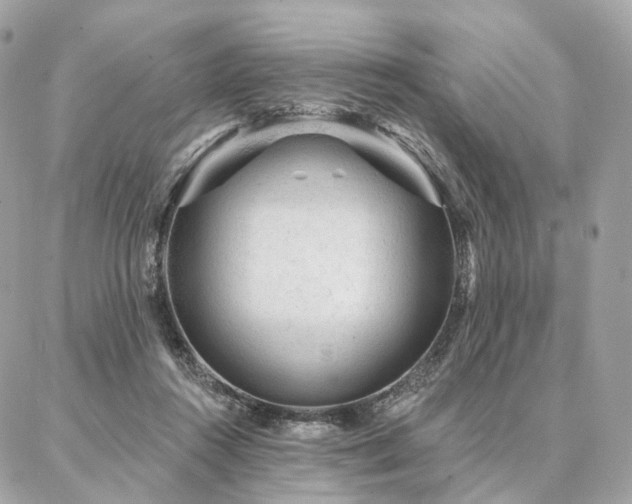 X0000086950360200704161459