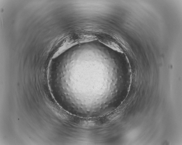 X0000086950361200704161459