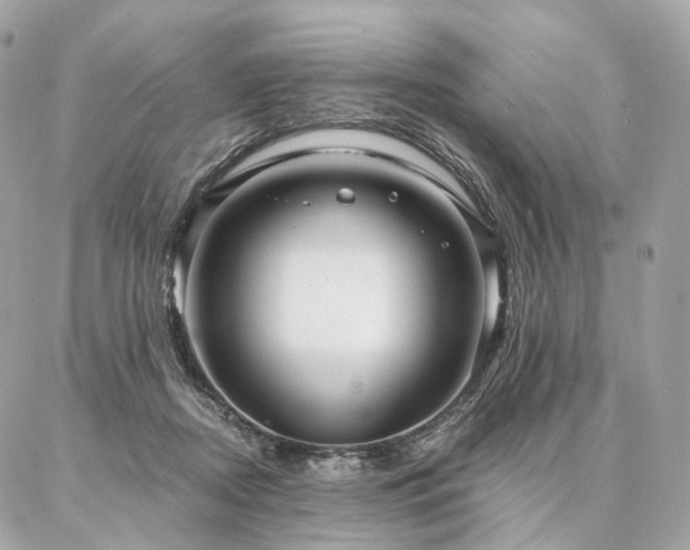 X0000086950362200704161459