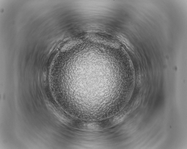 X0000086950365200704161459