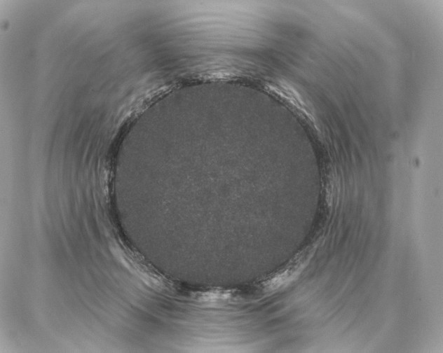 X0000086950366200704161459