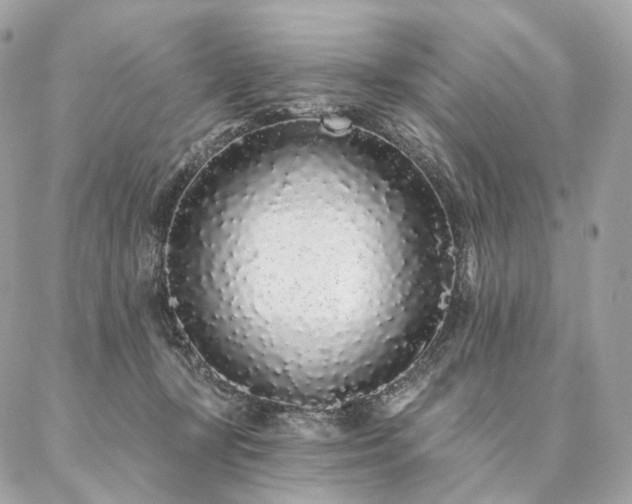 X0000086950367200704161459