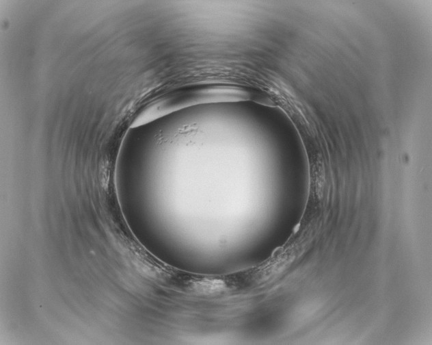 X0000086950374200704161500