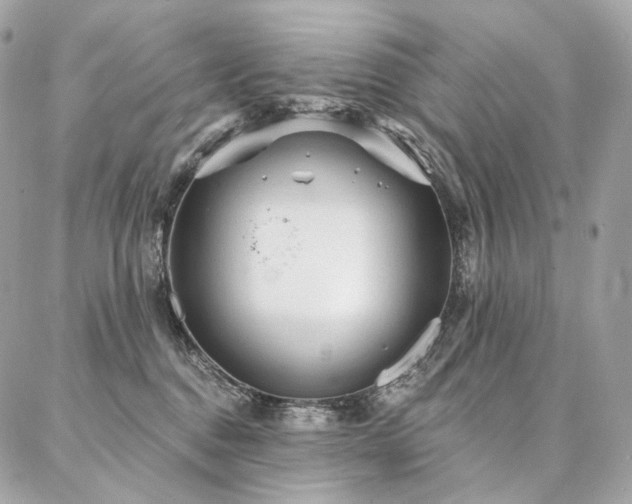 X0000086950376200704161500