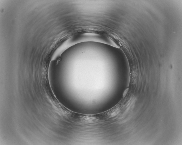 X0000086950379200704161500