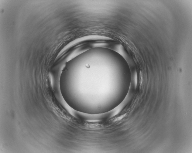 X0000086950380200704161500