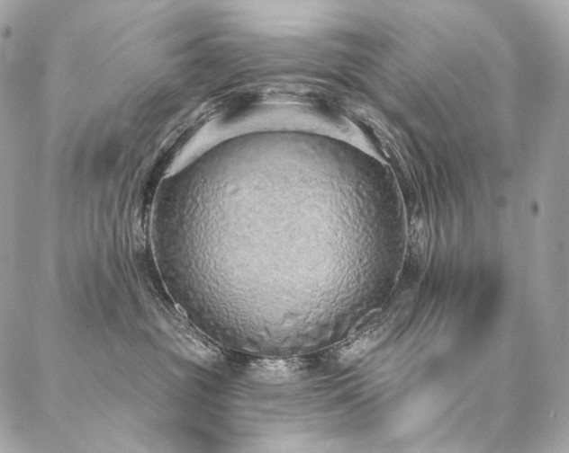 X0000086950381200704161500