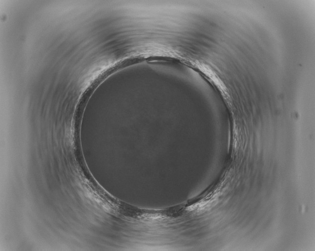 X0000086950391200704161459