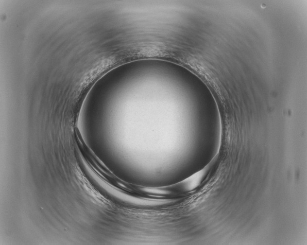 X0000086950393200704161459