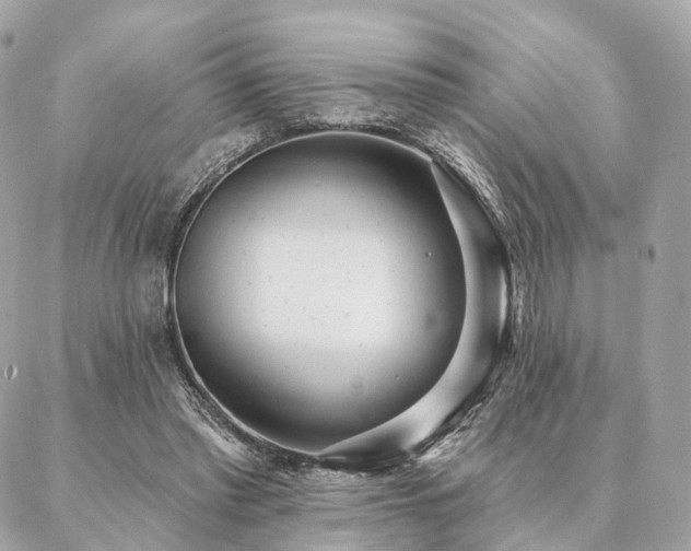 X0000086950397200704161459