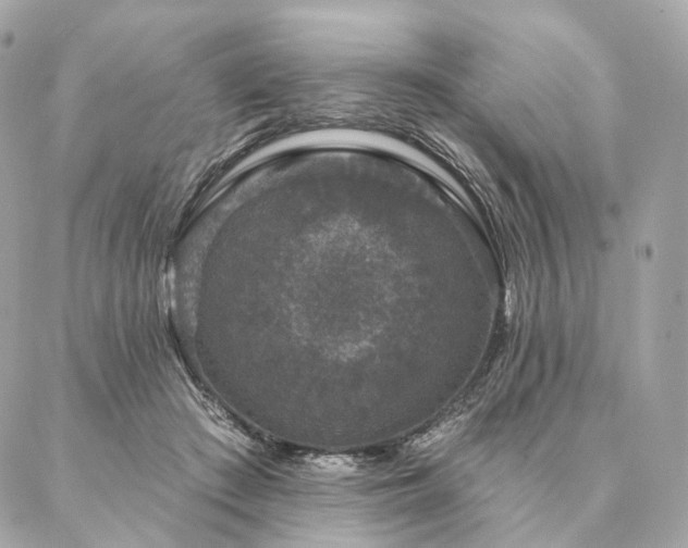 X0000086950409200704161459