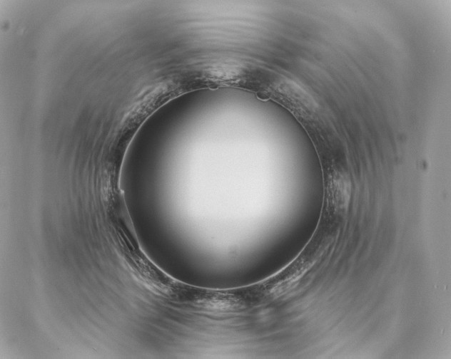 X0000086950412200704161458
