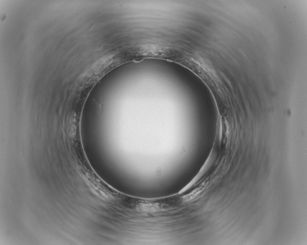 X0000086950413200704161458