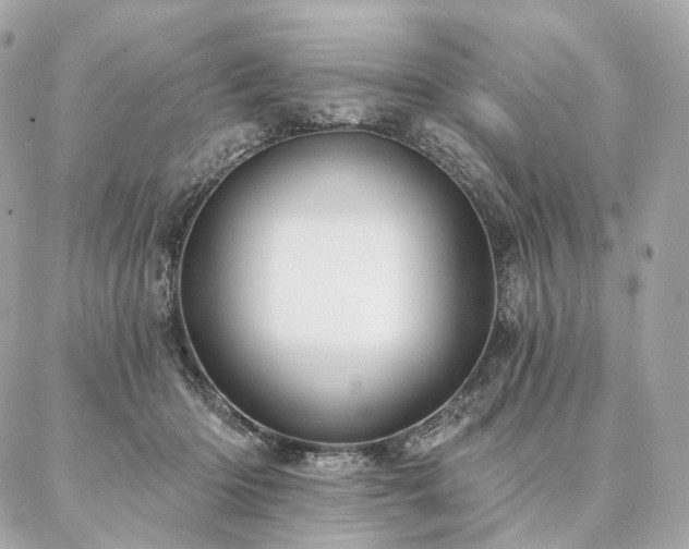 X0000086950414200704161458