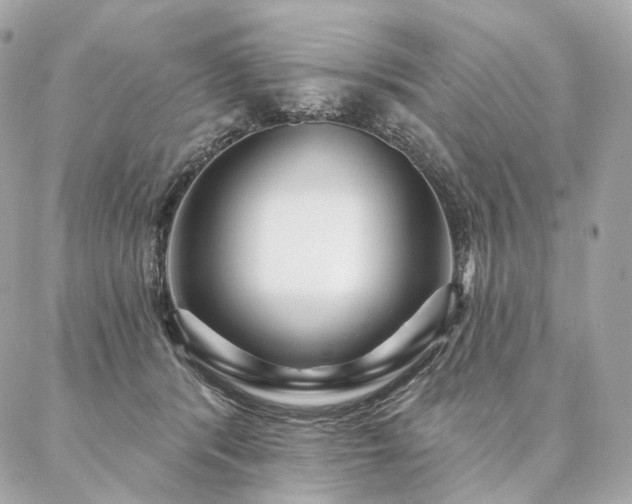 X0000086950416200704161458