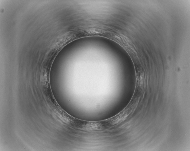 X0000086950418200704161458