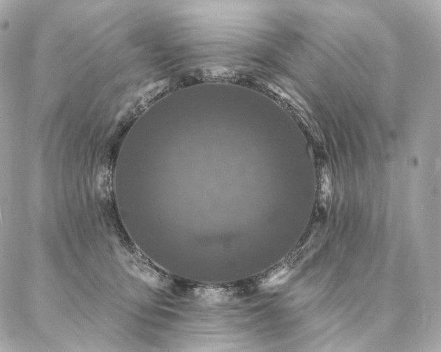 X0000086950419200704161458