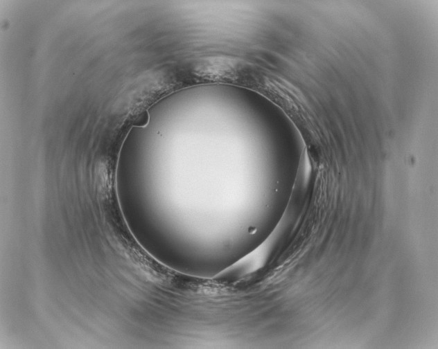 X0000086950420200704161458