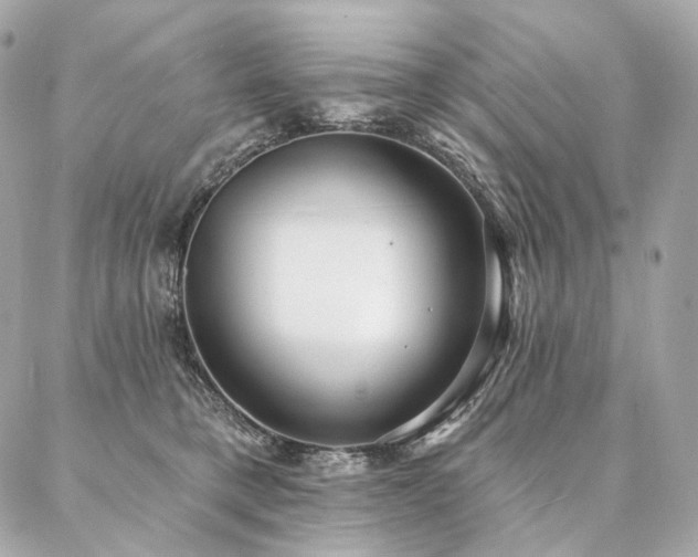 X0000086950421200704161458