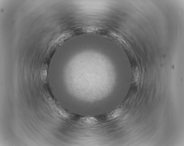 X0000086950427200704161458