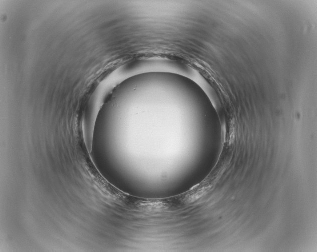X0000086950428200704161458