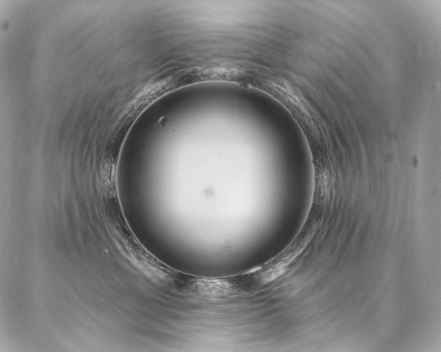 X0000086950429200704161458