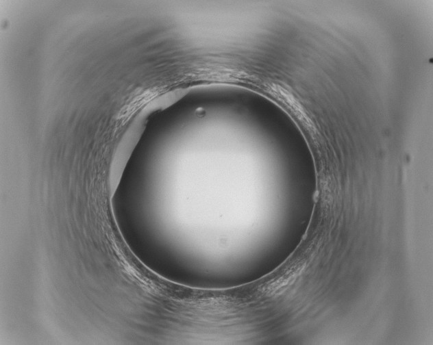 X0000086950433200704161457
