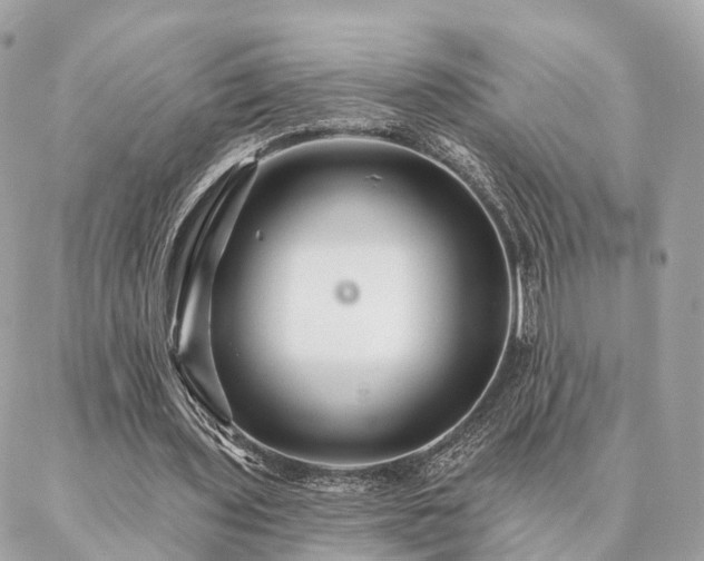 X0000086950435200704161457
