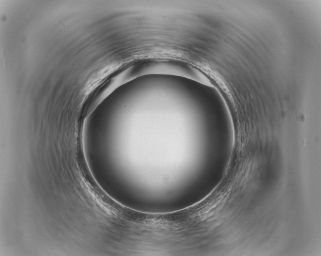 X0000086950437200704161457