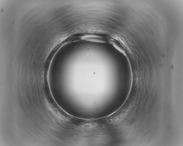 X0000086950447200704161458