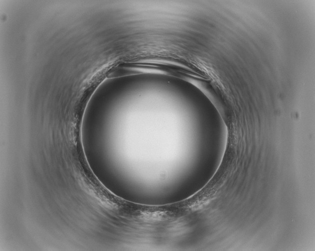 X0000086950450200704161458