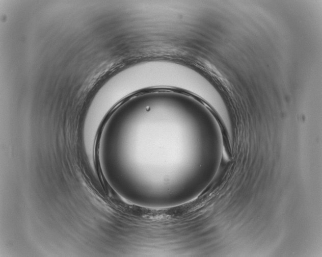 X0000086950452200704161458