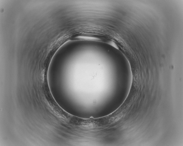 X0000086950454200704161458