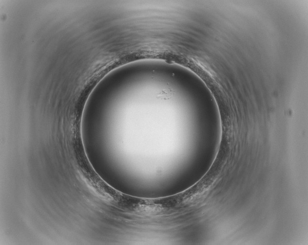 X0000086950455200704161458