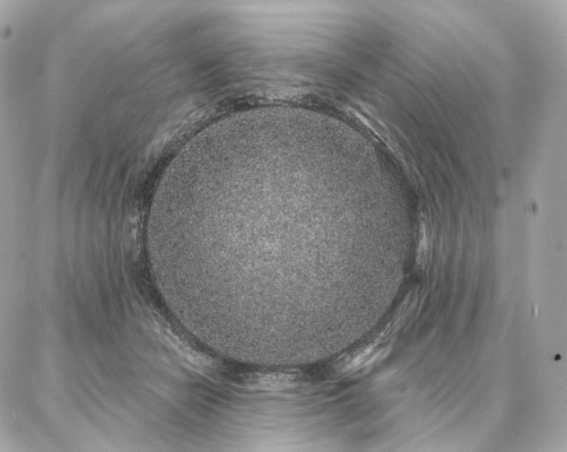 X0000086950462200704161458