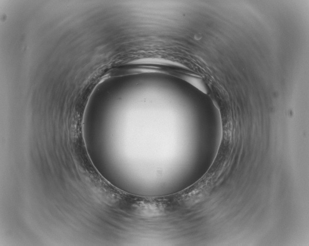 X0000086950464200704161458