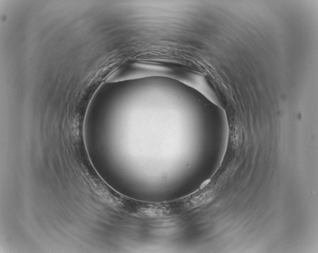 X0000086950466200704161458