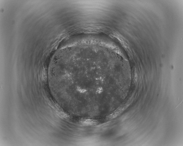 X0000086950467200704161458