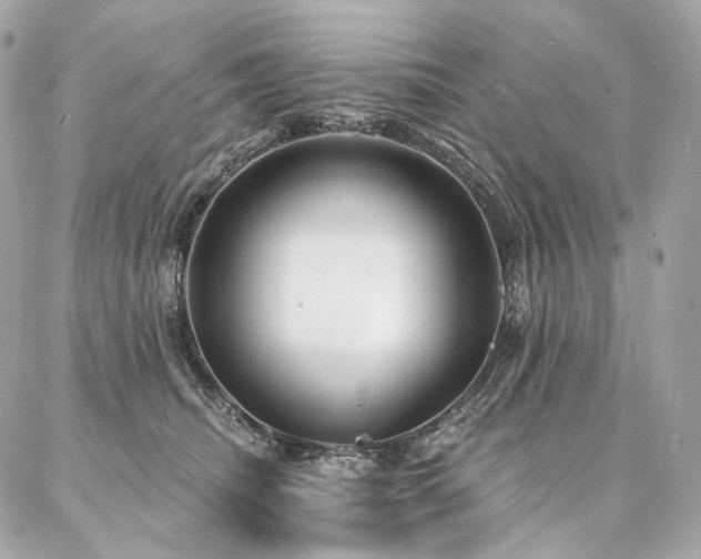 X0000086950468200704161458