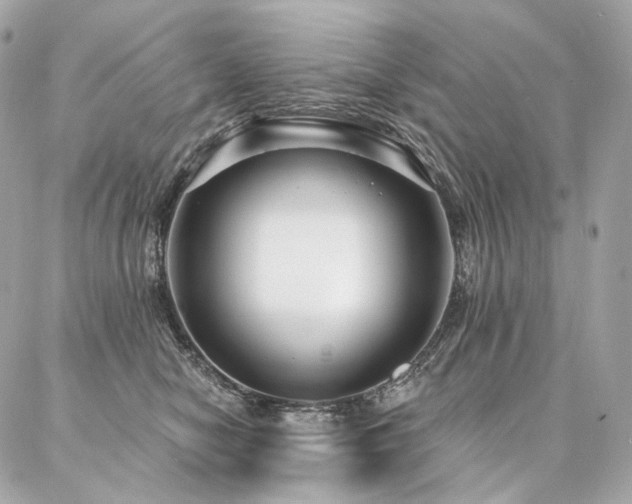 X0000086950470200704161458