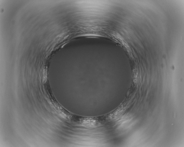 X0000086950471200704161458