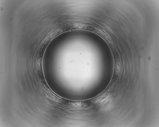 X0000086950473200704161458