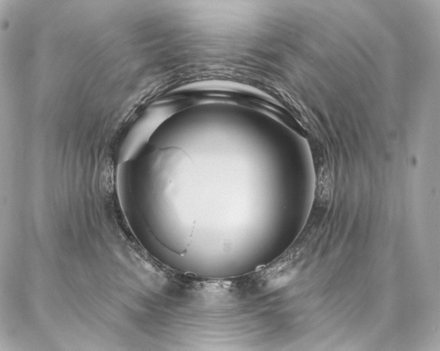 X0000086950474200704161458