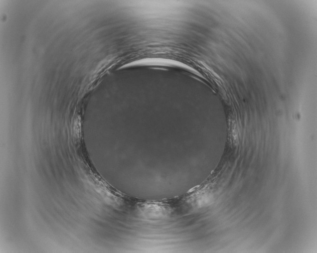 X0000086950475200704161458