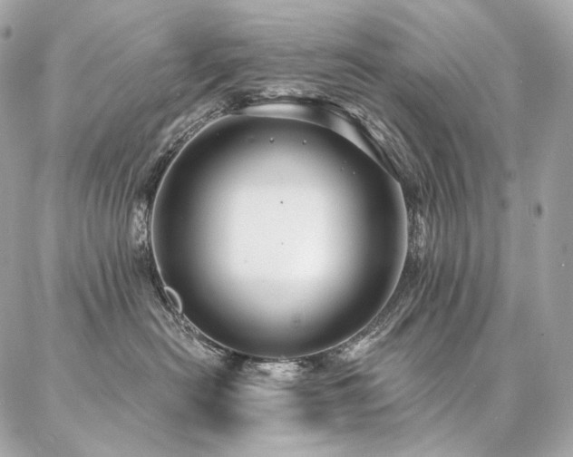 X0000086950478200704161458