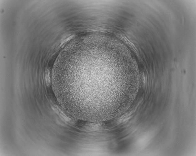 X0000086950479200704161458