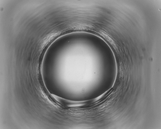 X0000086950485200704161457