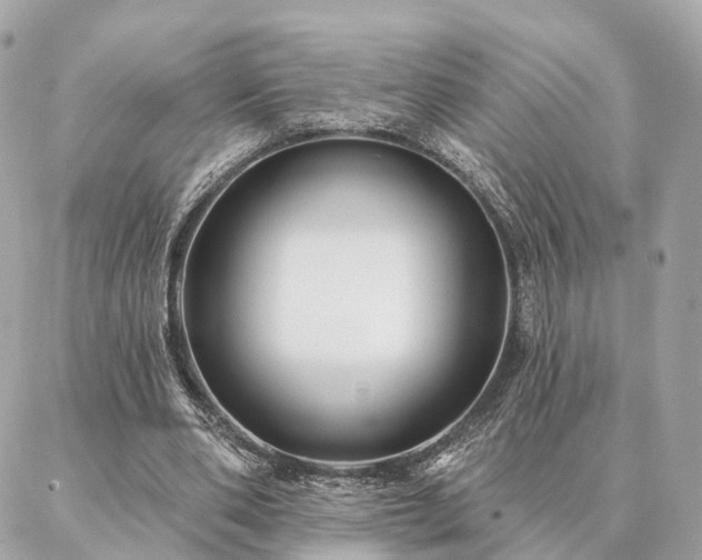 X0000086950486200704161457