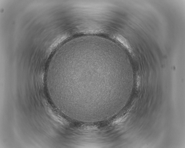 X0000086950491200704161457