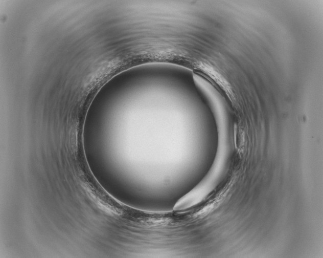 X0000086950493200704161457